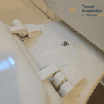 dirty toilet