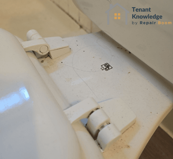 back of toilet
