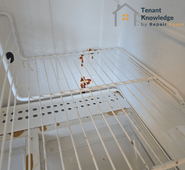 Inside of fridge