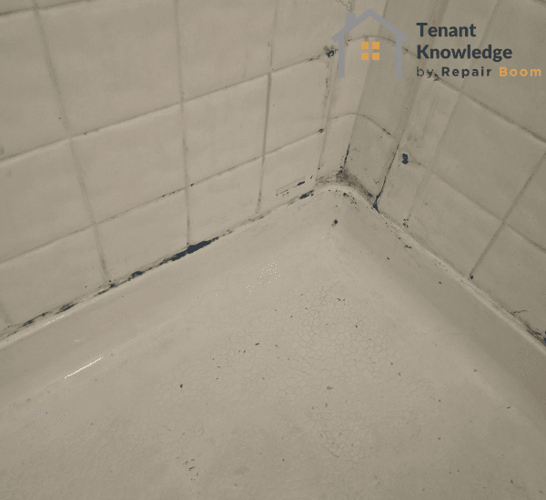 inside of shower